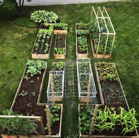 Simple Vegetable Garden Design Ideas Guide