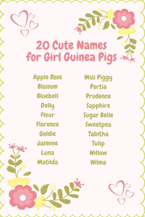 380 famous, baby, and funny squirrel names. Pin on Guinea pig