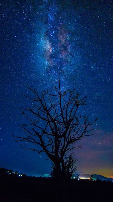 Galaxy Tree Wallpapers Top Free Galaxy Tree Backgrounds Wallpaperaccess
