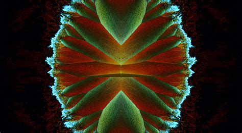 Spokes of amino acid | Nikon’s Small World