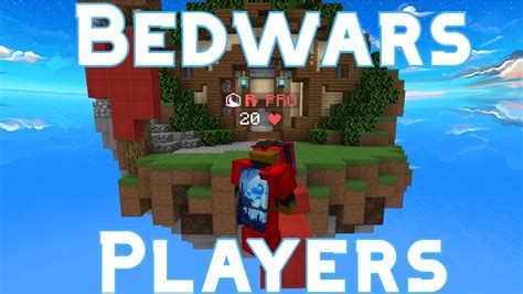 Types Of Bedwars Players V2 Youtube