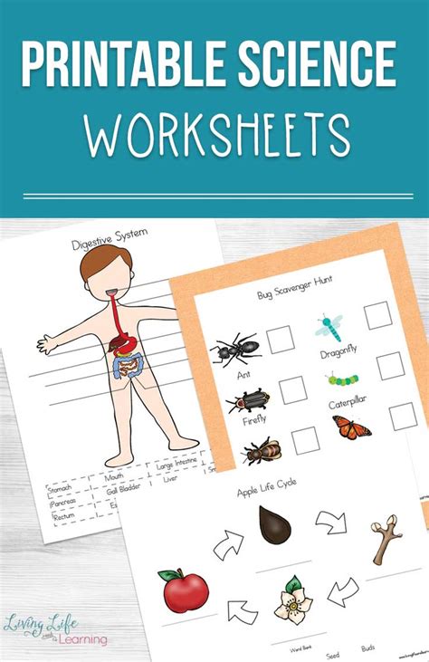 Free Printable Science Worksheets For Teacher Websites
