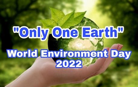 Slogans On World Environment Day With Pictures Leverage Edu