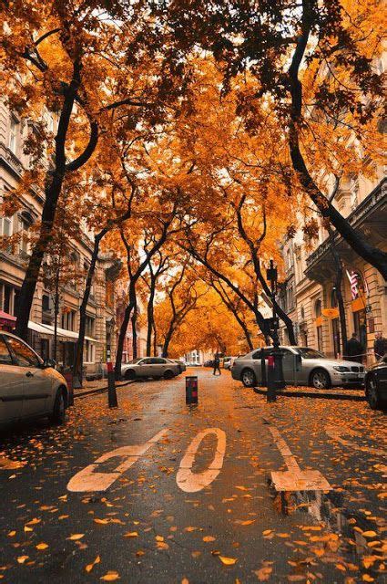 20 Scenic Autumn Photos Around The World Iphone Hintegründe Free
