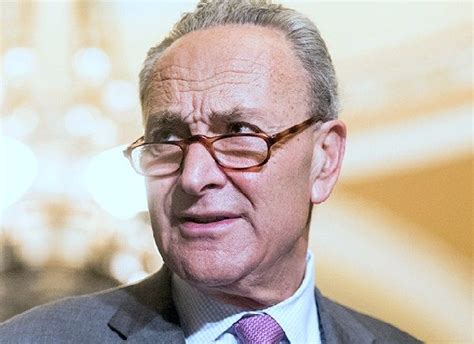 A member of the democratic party, he has been a u.s chuck is the son of selma (rosen) and abraham j. Chuck Schumer Age, Wife, Family, Biography, Net worth ...