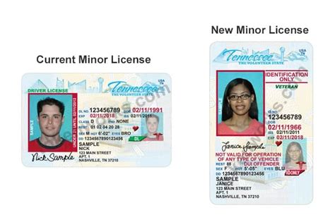 New Tennessee Drivers License For Minors Deters Underage Drinking