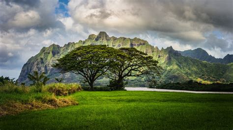 Wallpaper Sunlight Landscape Nature Grass Sky Field Green