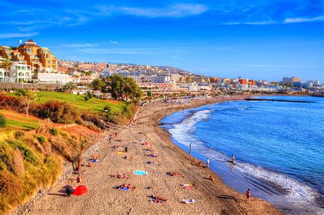 Torviscas Y Fa Ab En Costa Adeje Tenerife