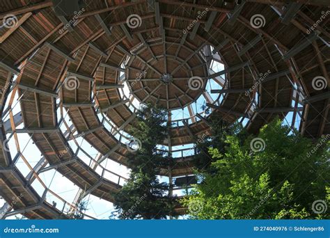Wooden Walkway Ramps At Treetop Walk Bavarian Forest In Bavarian Forest