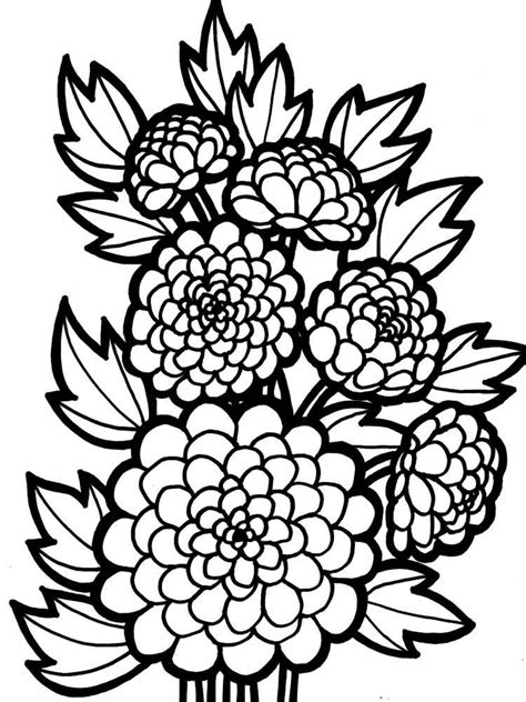Select from our wide variety of free downloadable coloring pages for adults and for kids. Chrysanthemum coloring pages to download and print for free