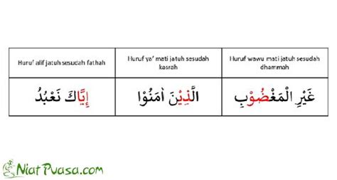 12 Hukum Bacaan Tajwid Ketika Membaca Al Qur'an