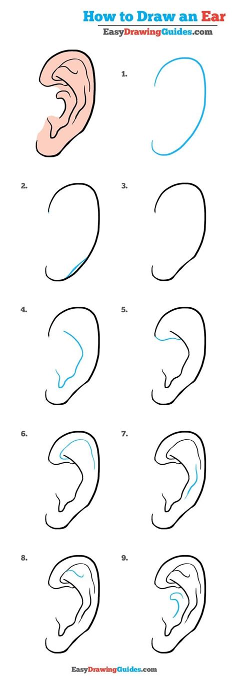 How To Draw An Ear Really Easy Drawing Tutorial