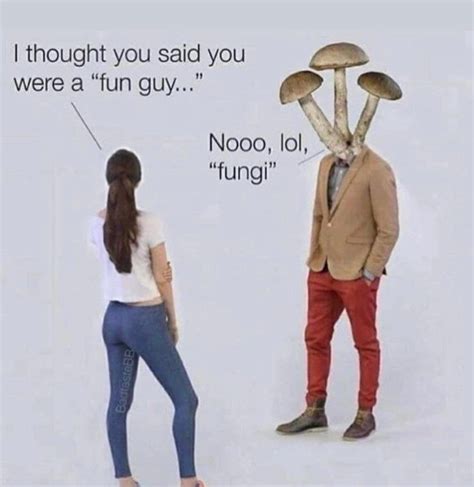 Im A Fun Fungi Guy Meme By Knott Memedroid