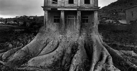 Tree House 1982 Jerry Uelsmann B And W Photography Pinterest