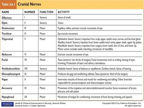 Neurological Assessment Neurological Assessment Cranial Nerves Nerve