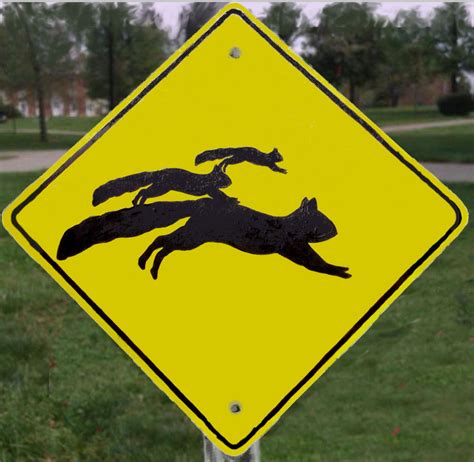 Squirrel Crossing By Artemisid On Deviantart