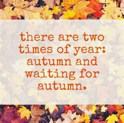 Fall Quotes To Remind You How Beautiful Autumn Is