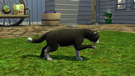 Free Sims 3 Pets Cheats Likosgallery