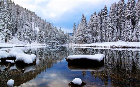 10 Best Winter Nature Wallpapers High Resolution Full Hd 1080p For Pc