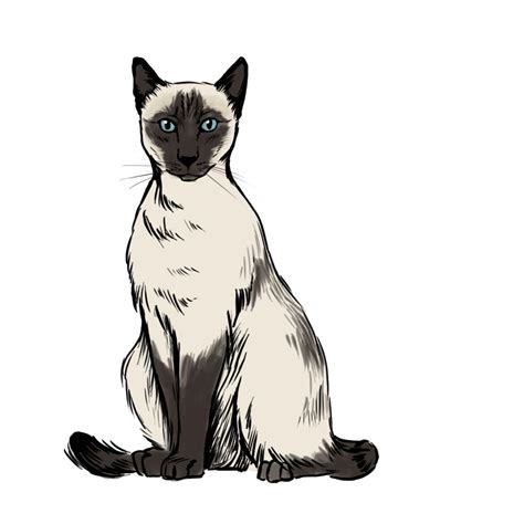 Find gifs with the latest and newest hashtags! Library of siamese cat animated vector library download png files Clipart Art 2019