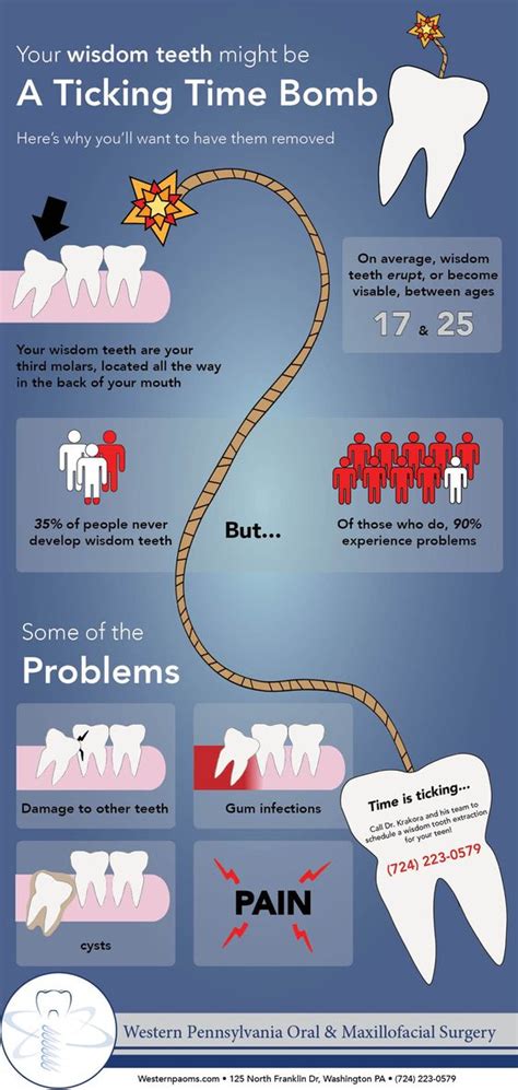 Wisdom Teeth Removal Infographic Western Pennsylvania And Ohio