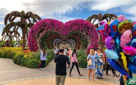Dubai Miracle Garden Guide Attractions Timing Tickets And More Mybayut