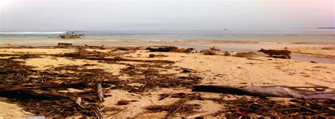 6 tempat wisata di kaur bengkulu yang bisa kamu kunjungi sering jalan : No Hp Pantai Sekunyit : Pantai Sekunyit Kab Kaur Bengkulu ...