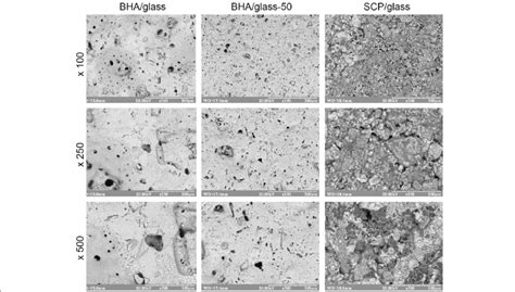 Surface Microstructure Of Different Types Of Glass Ceramic Composites