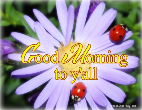 Good Morning Daily Ecards Photos And Greetings