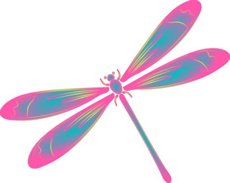Dragonfly Clipart Fancy Dragonfly Cartoon Png Transparent Png Full