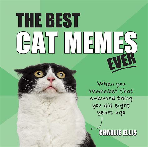 32 Cat Meme Ts