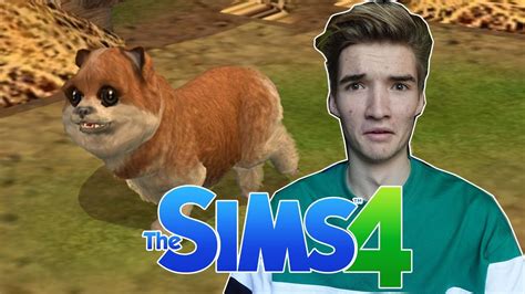 Dit Is Het Nieuwe Hamster Beestje The Sims 4 208 Youtube