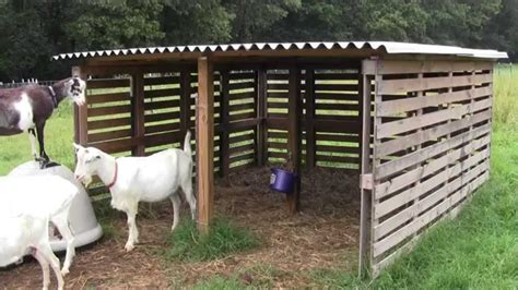 Awasome How To Build A Goat Fence Cheap Ideas