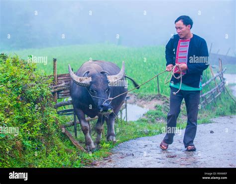 Hmong Man China High Resolution Stock Photography and Images - Alamy