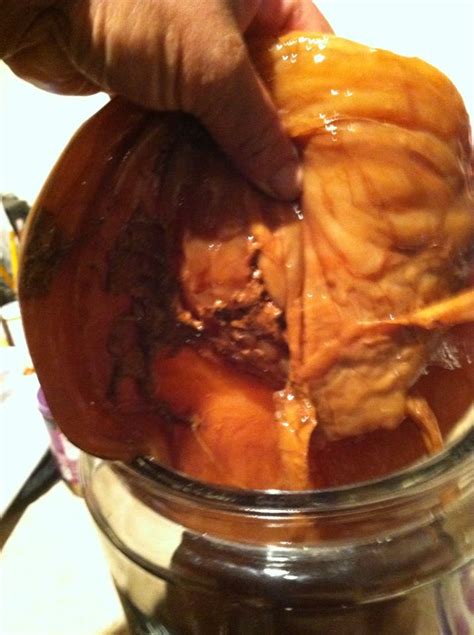 Scoby is actually an acronym for symbiotic culture of. So many health benefits comes from this life force. | Food ...