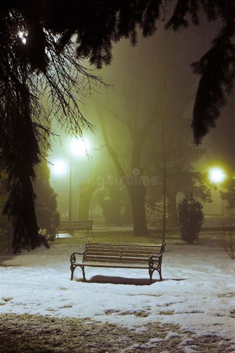 Foggy Night In The Park Stock Image Image Of Winter 48628315