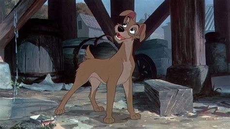 Tramp Lady And The Tramp Wiki Wikia