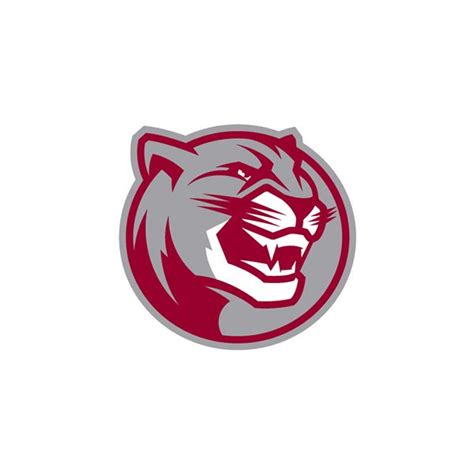 Benton Panthers Concept Logos on Behance | Behance icon, Behance, Logos
