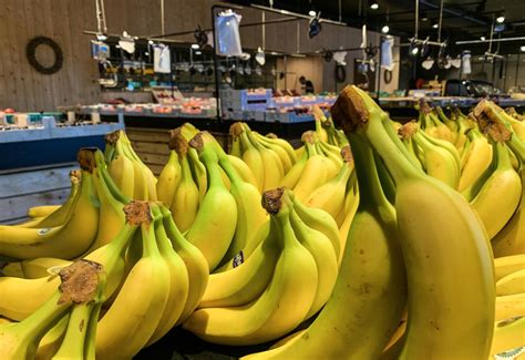 Past And Future Of The Banana Industry
