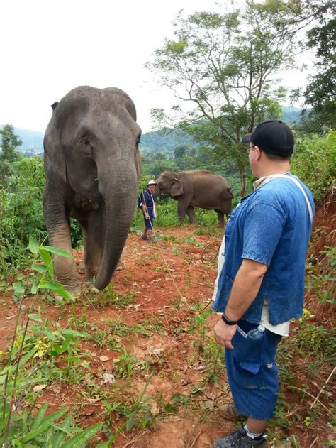 Elephant Sanctuary Bali Cruelty Free - Elephant Sanctuary & Zip Lining in Chiang Mai - TakeMeTour