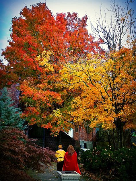 Maybe you would like to learn more about one of these? Mt. Airy, NC - Halloween 2014 | Fall foliage, Appalachian ...