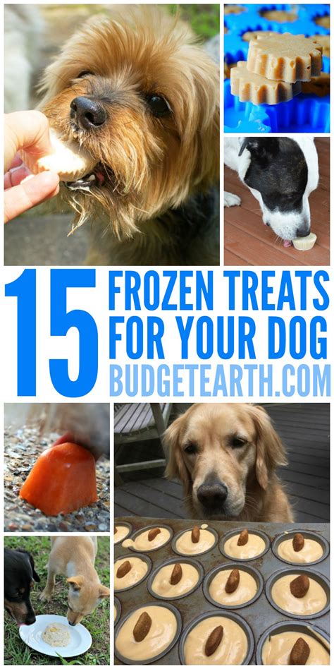 15 Frozen Treats For Your Dog Budget Earth