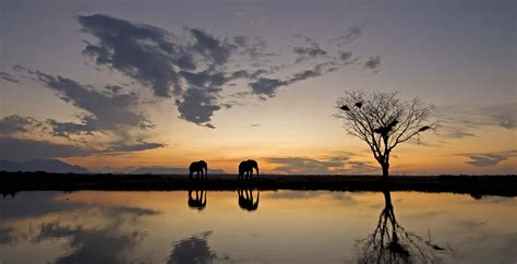 Kruger National Park In South Africa Journeys By Design