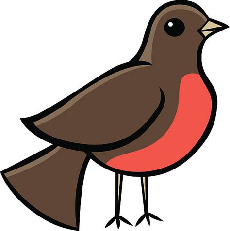 Robin Illustrations Royalty Free Vector Graphics And Clip Art Istock