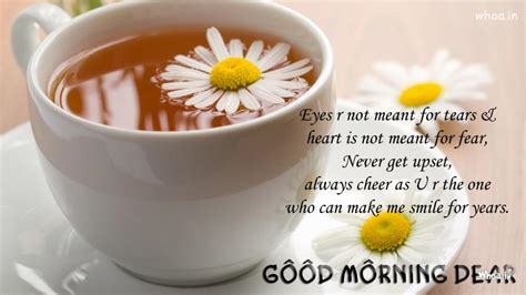 It is wonderful to send good morning quotes to your loved one to show them that you care. Good Morning Greetings Sms Messages