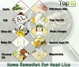 Home Remedies For Eggs Of Head Lice Photos