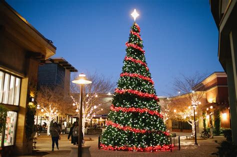 Holiday Tree Lighting W Santa Alameda