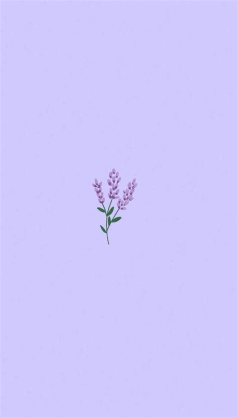 Simple Purple Flower Wallpapers Top Free Simple Purple Flower