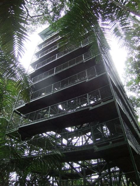 The Panama Gamboa Rainforest Discovery Centre Tower Lies At The End Of