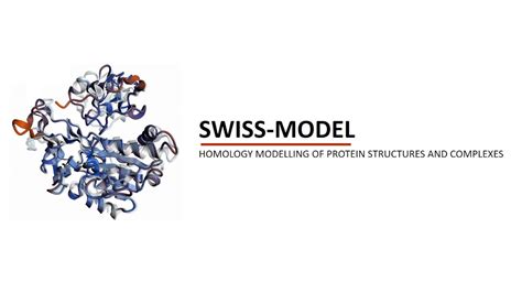 Swiss Model Function Methods And Example Youtube